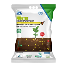 Premium Phoster - Phosphate Solubilizing Bacteria (PSB) 1kg (Pack Of 25)