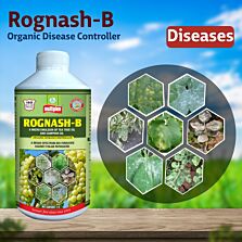 AGRIBIST | Rognash-B Fungicide 100ML
