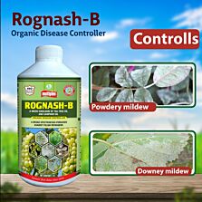 AGRIBIST | Rognash-B Fungicide 1LT
