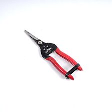 AGRIBIST | Straight Fruit Snip Pruning Scissors Stainless Steel Harvesting Cutter for Fruits Flowers Vegetables & Gardening Sharp Precision Blade with Spring Action Handle