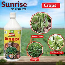 AGRIBIST | Sunrise Bio Fertilizer - Liquid 1LT