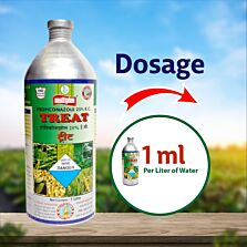 AGRIBIST | Treat Fungicide 1LT
