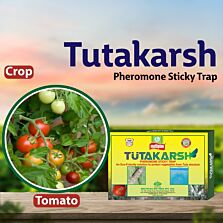 AGRIBIST |Tutakarsh Pheromone Trap for Tuta Absoluta - 8 NOS TRAPS & LURES