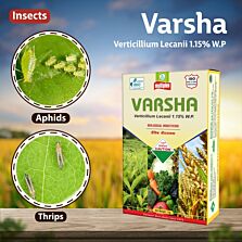 AGRIBIST | Varsha (Verticillium lecanii) Powder -1 KG
