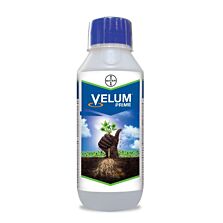 Agribist | Velum Prime Nematicide Fluopyram 34.48% SC – Root Knot Nematode Control