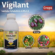 AGRIBIST |Vigilant Insecticide