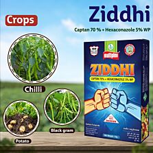 AGRIBIST |  Ziddhi Fungicide 100GM