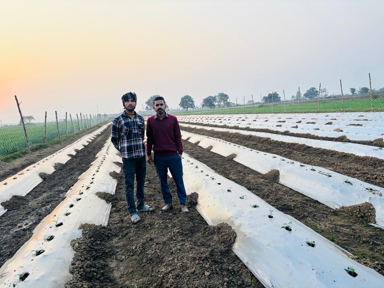Irrigation & Water Management: The Foundation of Sustainable and Profitable Agriculture