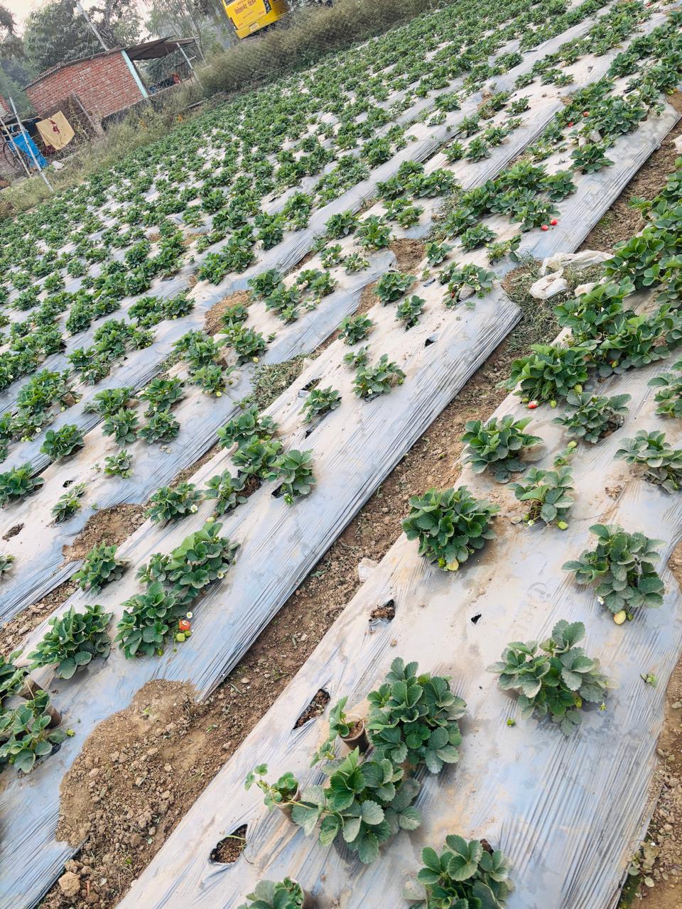 AgriBist Farm Solutions